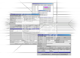 software